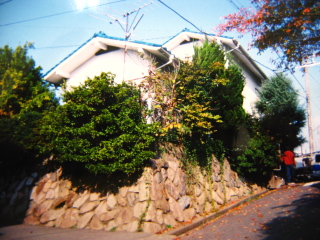 ̑OP